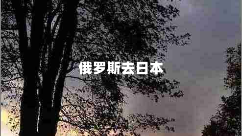 俄羅斯去日本
