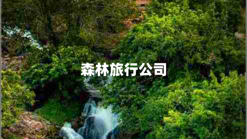 森林旅行公司 森林旅行公司