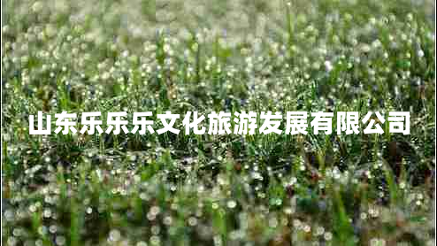 山東樂樂樂文化旅游發(fā)展有限公司 山東樂樂樂文化旅游發(fā)展有限公司