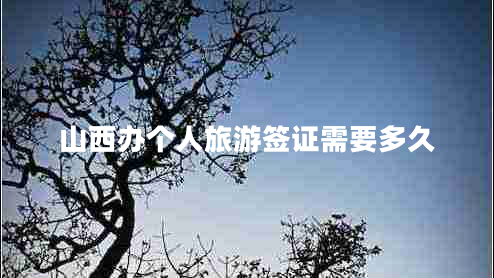 山西辦個人旅游簽證需要多久