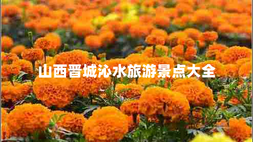 山西晉城沁水旅游景點大全