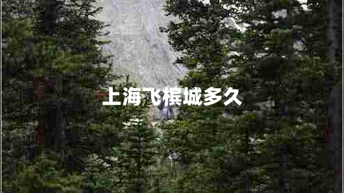 上海飛檳城多久 上海飛檳城多久