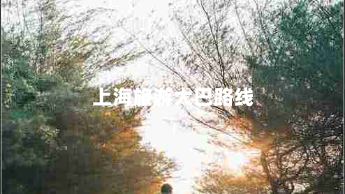 上海旅游大巴路線 上海旅游大巴路線