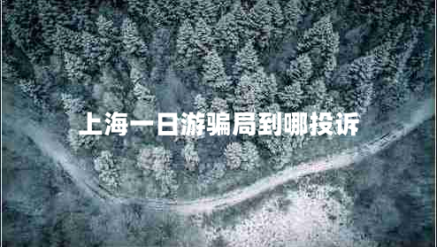 上海一日游騙局到哪投訴