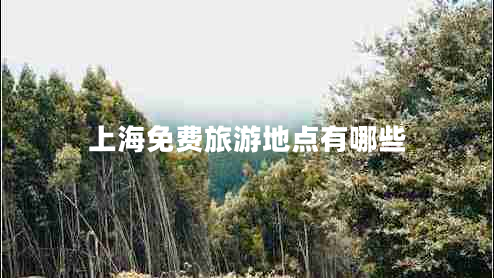 上海免費(fèi)旅游地點(diǎn)有哪些