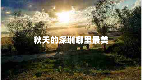 秋天的深圳哪里最美 秋天的深圳哪里最美