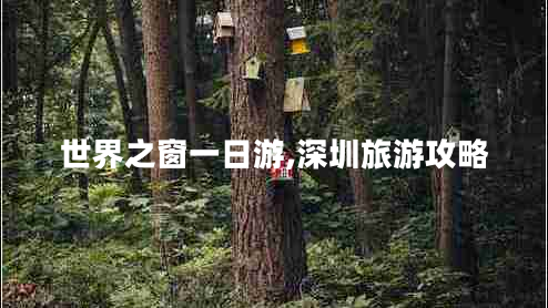 世界之窗一日游,深圳旅游攻略 世界之窗一日游,深圳旅游攻略