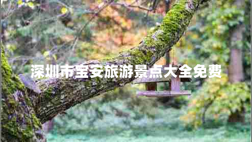 深圳市寶安旅游景點(diǎn)大全免費(fèi) 深圳市寶安旅游景點(diǎn)大全免費(fèi)