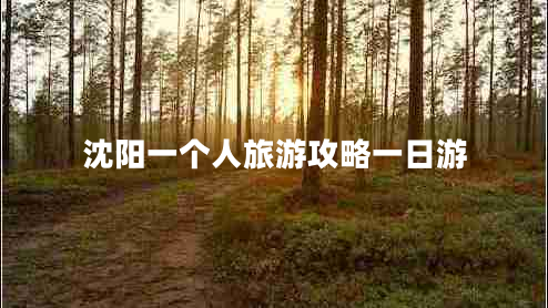 沈陽一個人旅游攻略一日游 沈陽一個人旅游攻略一日游
