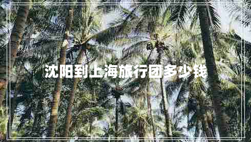 沈陽到上海旅行團多少錢
