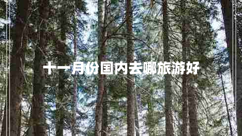 十一月份國內(nèi)去哪旅游好