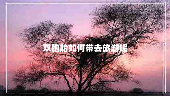 雙胞胎如何帶去旅游呢