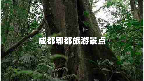 成都郫都旅游景點(diǎn) 成都郫都旅游景點(diǎn)