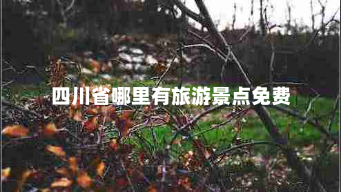 四川省哪里有旅游景點免費