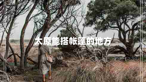 太原能搭帳篷的地方