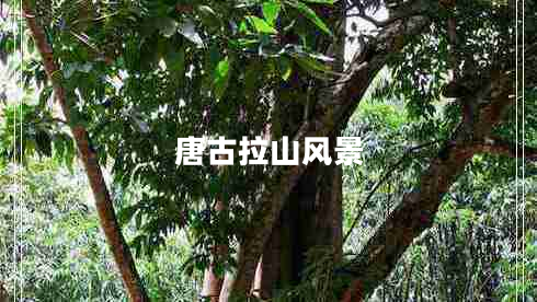 唐古拉山風(fēng)景