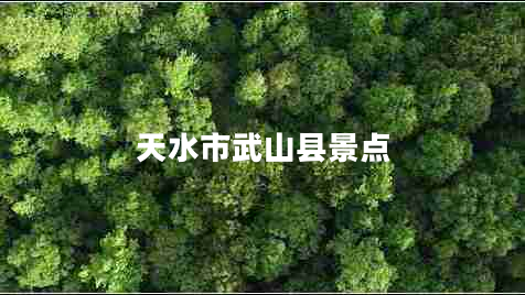 天水市武山縣景點