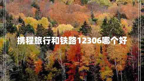 攜程旅行和鐵路12306哪個好