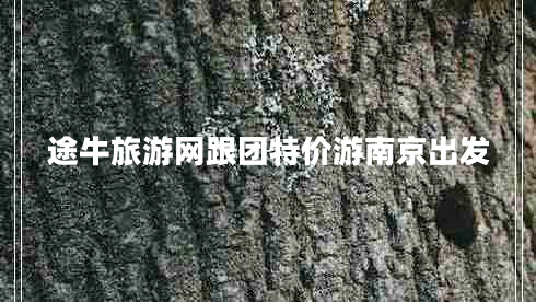 途牛旅游網(wǎng)跟團(tuán)特價(jià)游南京出發(fā)