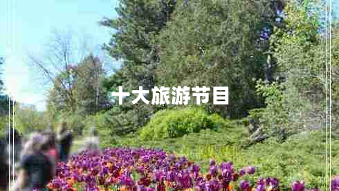 十大旅游節(jié)目