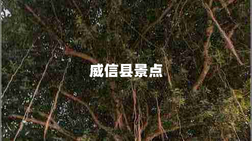 威信縣景點(diǎn) 威信縣景點(diǎn)