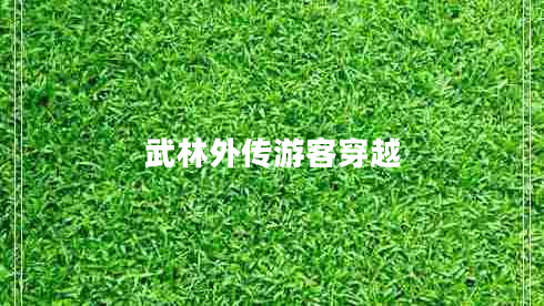 武林外傳游客穿越
