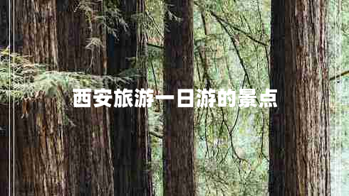 西安旅游一日游的景點