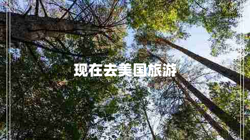 現(xiàn)在去美國(guó)旅游