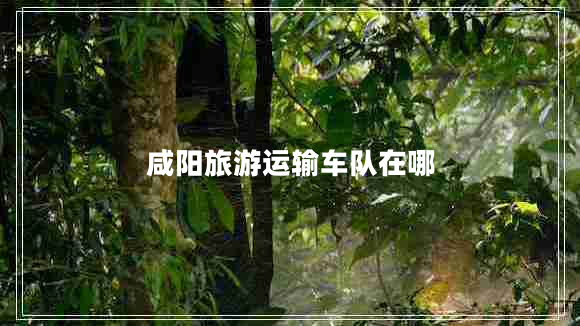 咸陽旅游運(yùn)輸車隊(duì)在哪