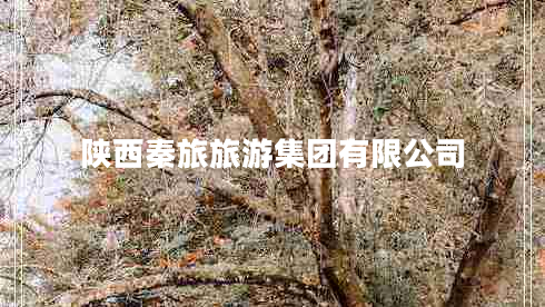 陜西秦旅旅游集團(tuán)有限公司