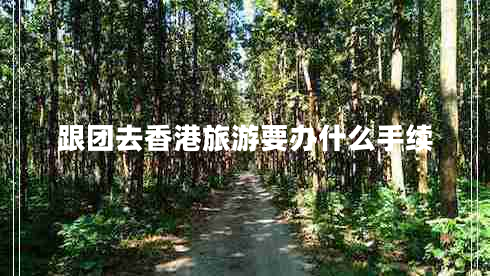 跟團去香港旅游要辦什么手續(xù)