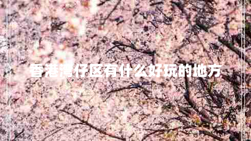 香港灣仔區(qū)有什么好玩的地方