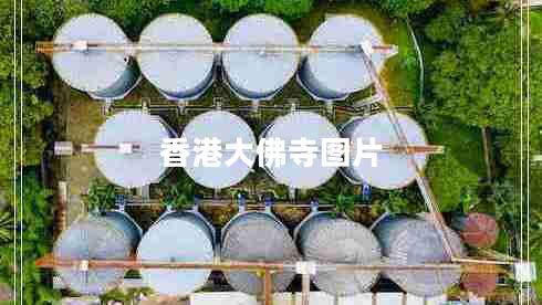 香港大佛寺圖片 香港大佛寺圖片