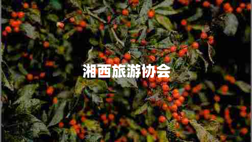 湘西旅游協(xié)會