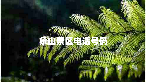 象山景區(qū)電話號(hào)碼 象山景區(qū)電話號(hào)碼