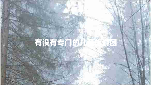 有沒有專門的兒童旅游團 有沒有專門的兒童旅游團