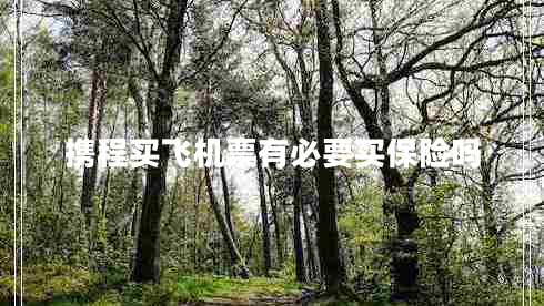 攜程買飛機(jī)票有必要買保險(xiǎn)嗎