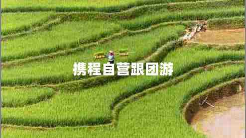 攜程自營跟團游 攜程自營跟團游