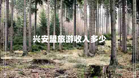 興安盟旅游收入多少