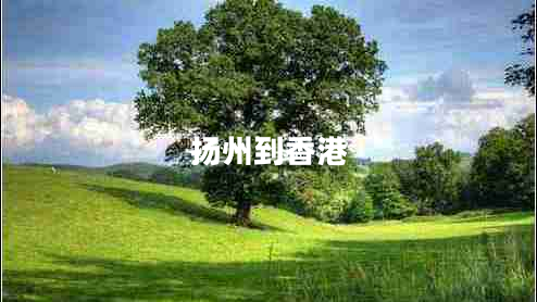 揚州到香港 揚州到香港