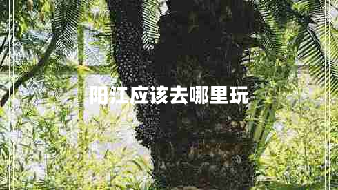 陽江應(yīng)該去哪里玩