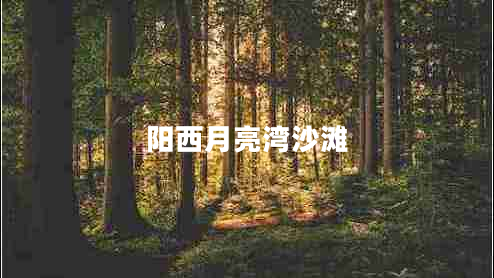 陽(yáng)西月亮灣沙灘