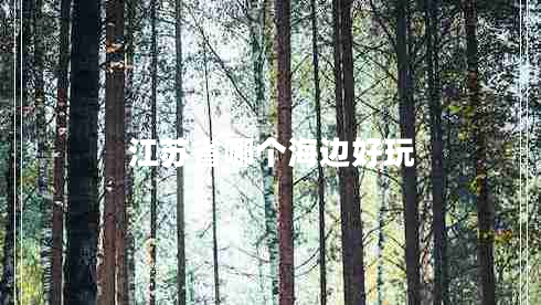 江蘇省哪個海邊好玩