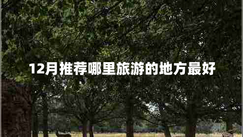 12月推薦哪里旅游的地方最好