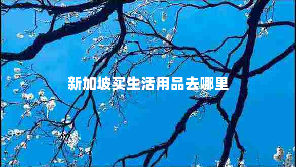 新加坡買生活用品去哪里