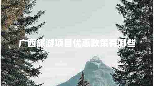 廣西旅游項目優(yōu)惠政策有哪些