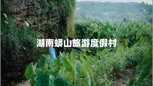 湖南蟒山旅游度假村 湖南蟒山旅游度假村