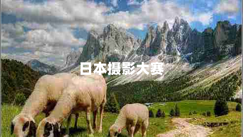 日本攝影大賽 日本攝影大賽