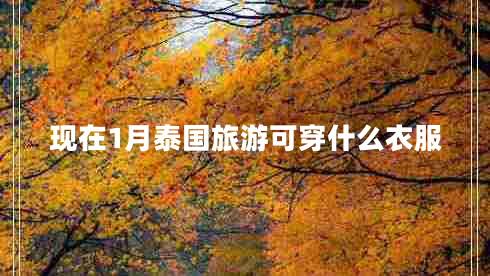 現(xiàn)在1月泰國旅游可穿什么衣服