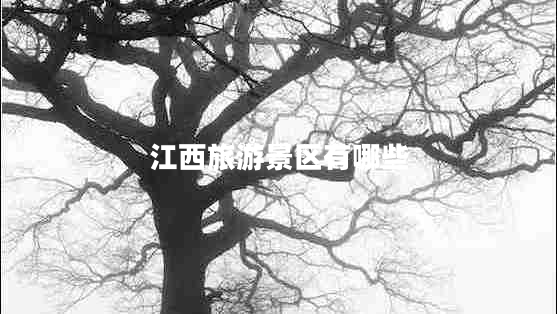 江西旅游景區(qū)有哪些